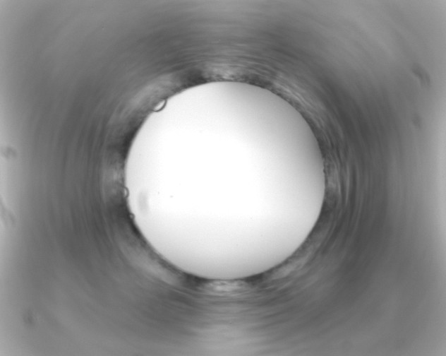 X0000091370526200708101117