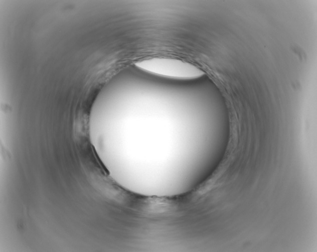 X0000091370528200708101117