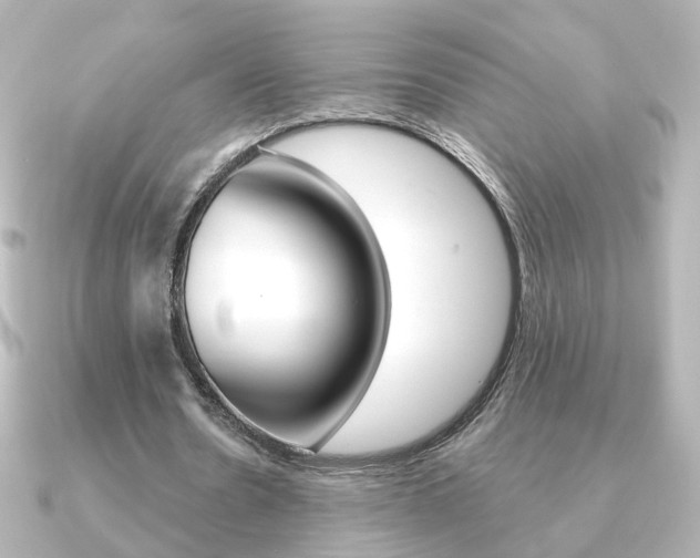 X0000091370530200708101116