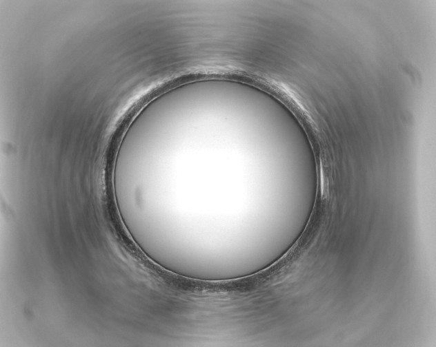 X0000091370531200708101116