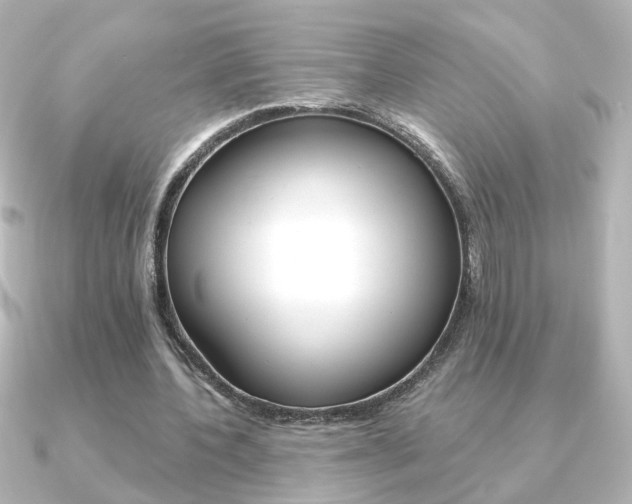 X0000091370532200708101116