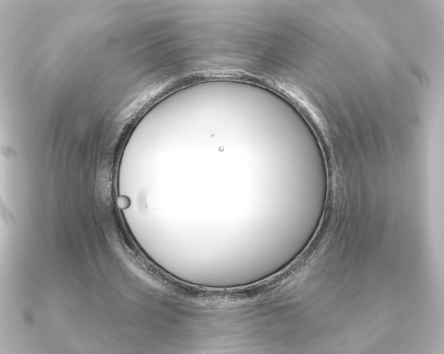 X0000091370533200708101116