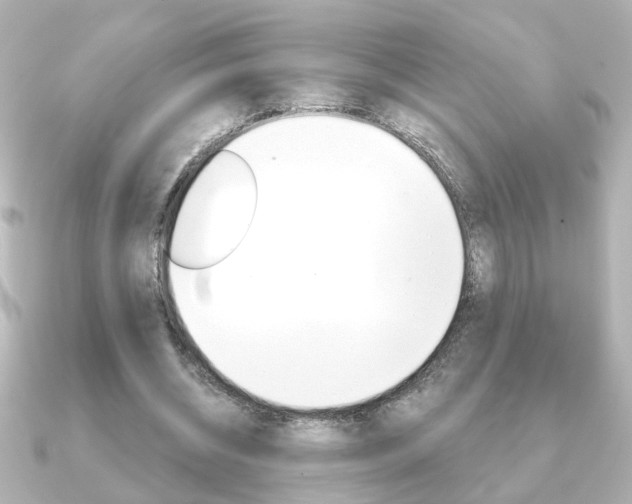 X0000091370534200708101116