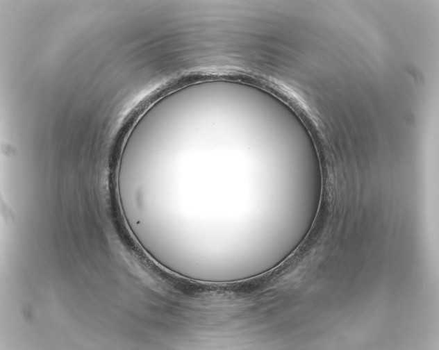 X0000091370535200708101116