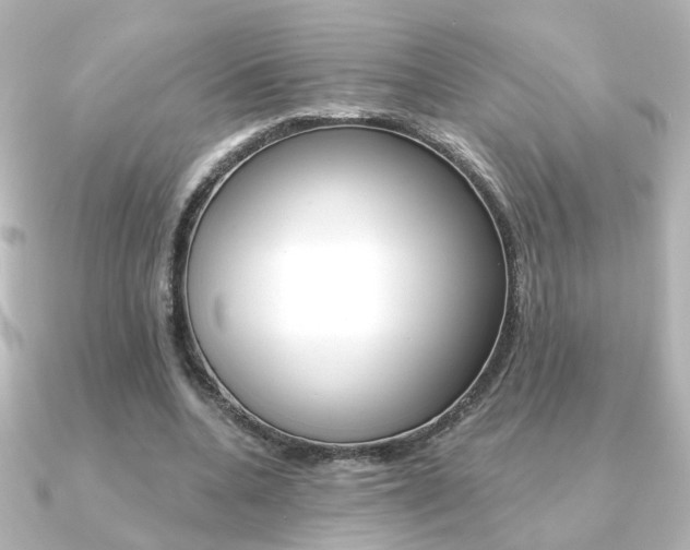 X0000091370536200708101116