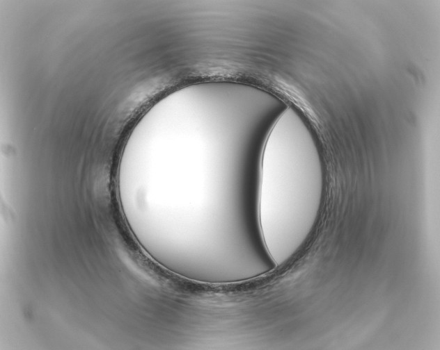 X0000091370538200708101116