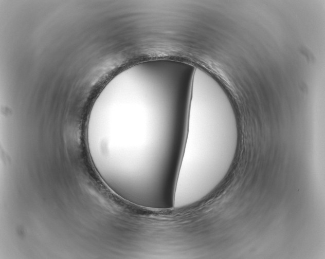 X0000091370539200708101116