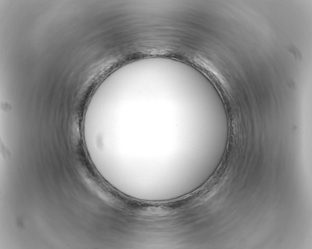 X0000091370541200708101116