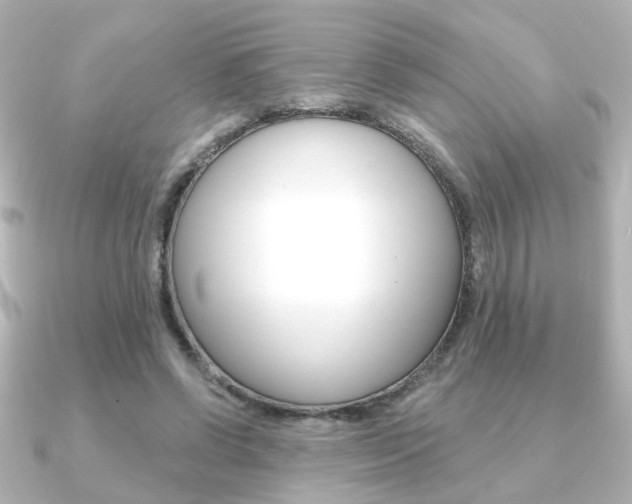 X0000091370542200708101116