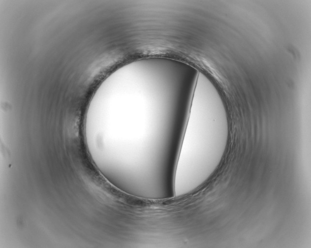 X0000091370543200708101116