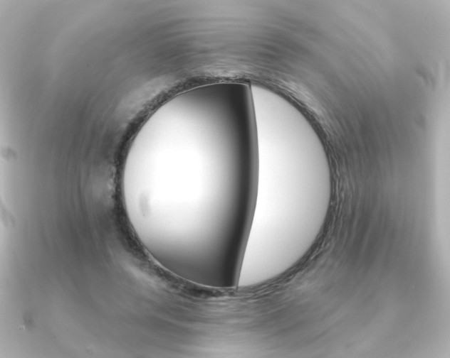 X0000091370544200708101116