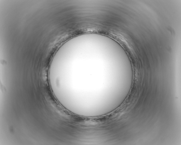 X0000091370545200708101116