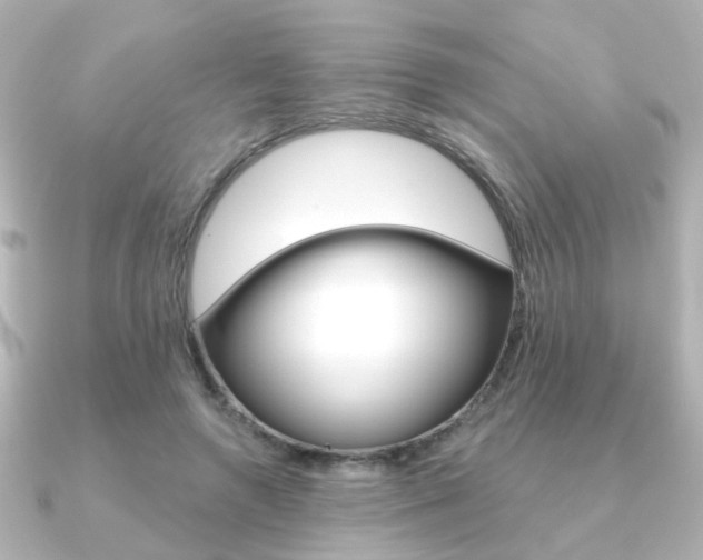 X0000091370546200708101116