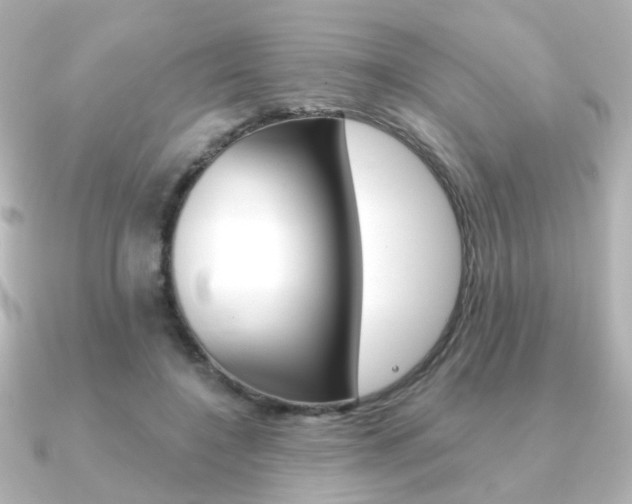 X0000091370548200708101116