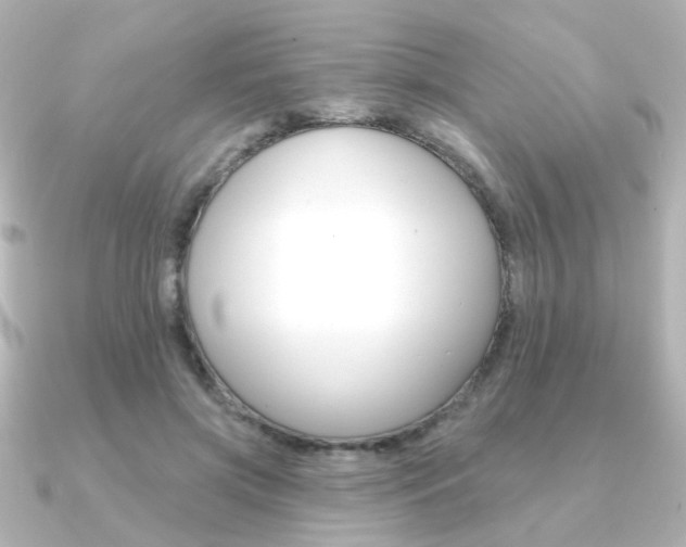 X0000091370549200708101116