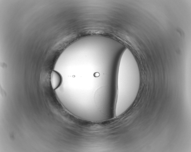 X0000091370551200708101116