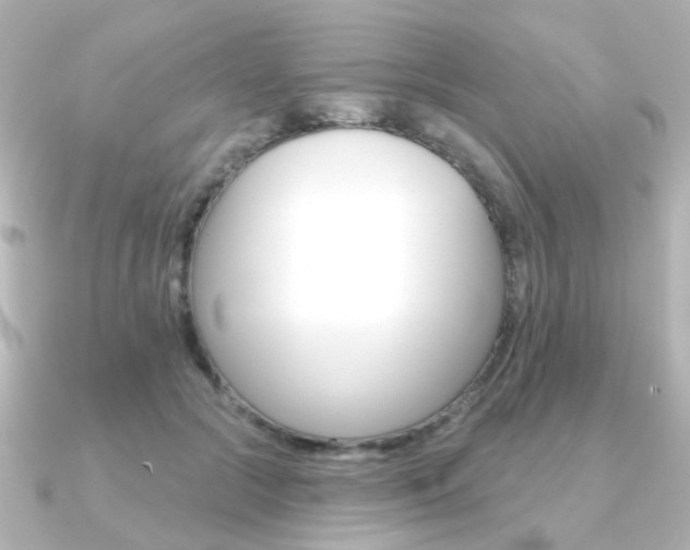 X0000091370553200708101116