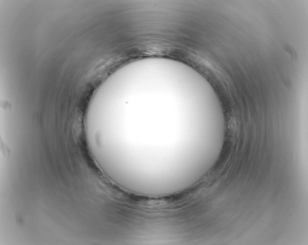 X0000091370554200708101116