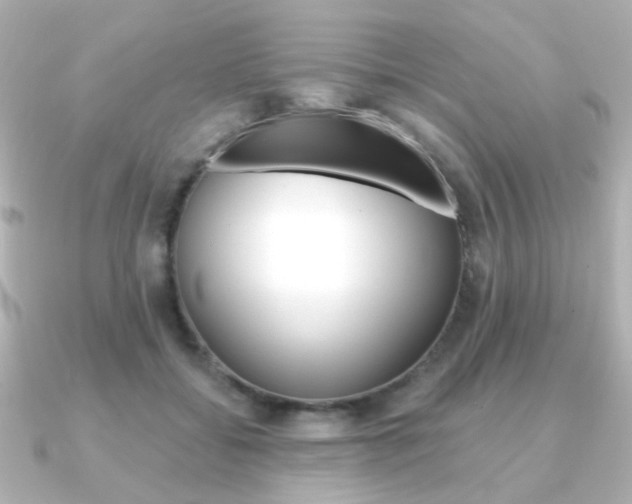 X0000091370556200708101116
