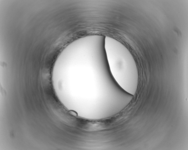 X0000091370557200708101116