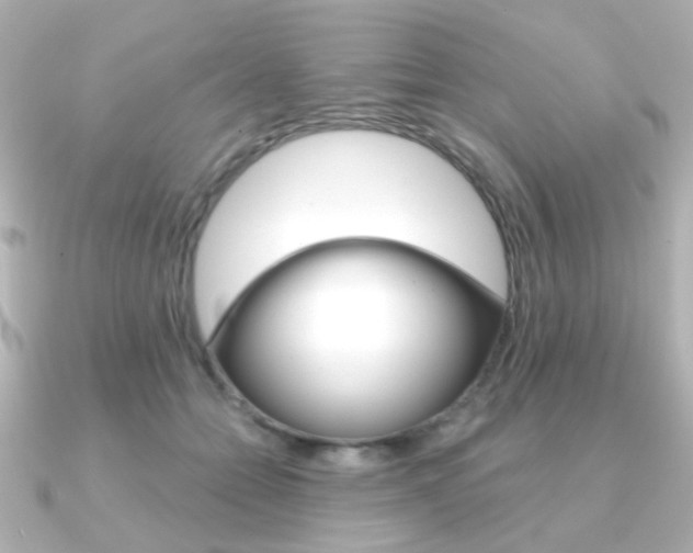 X0000091370558200708101116