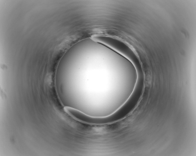 X0000091370560200708101116