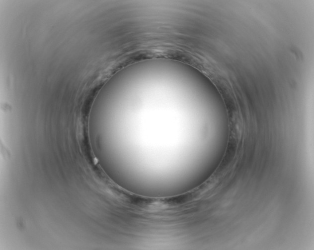 X0000091370562200708101116