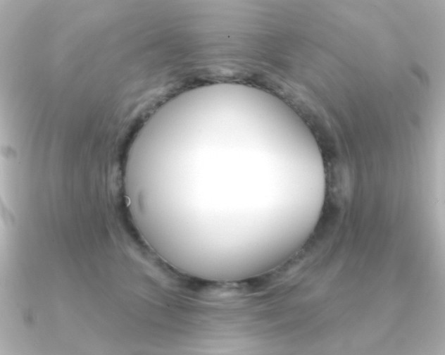 X0000091370563200708101116