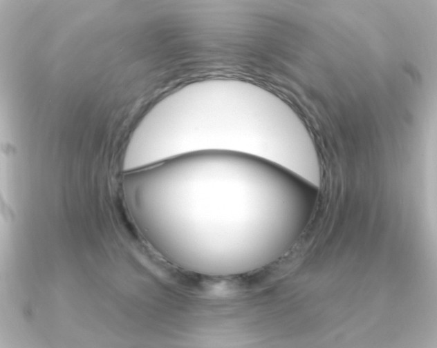 X0000091370564200708101116