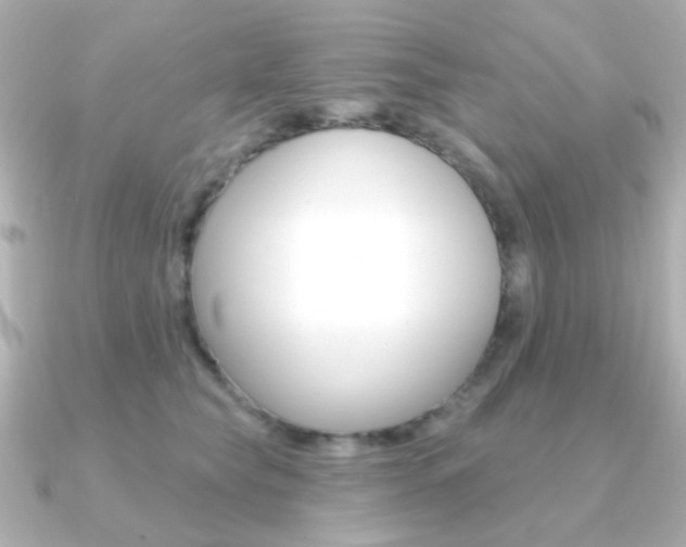 X0000091370565200708101116