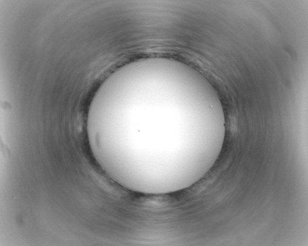 X0000091370567200708101116