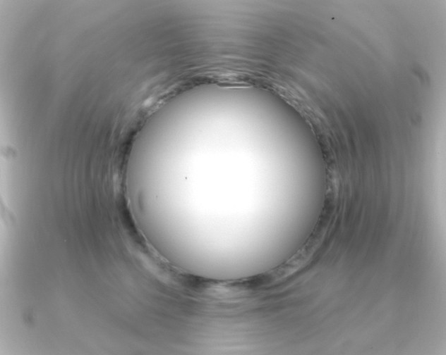 X0000091370568200708101116