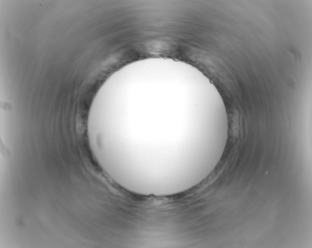 X0000091370569200708101116