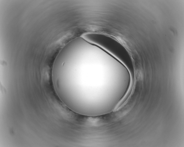 X0000091370570200708101116