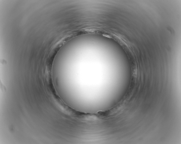 X0000091370572200708101117