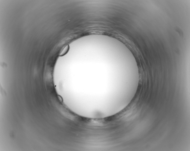 X0000091370573200708101117