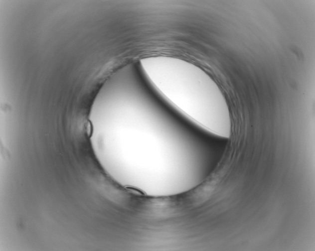 X0000091370574200708101117