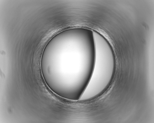 X0000091370577200708101116