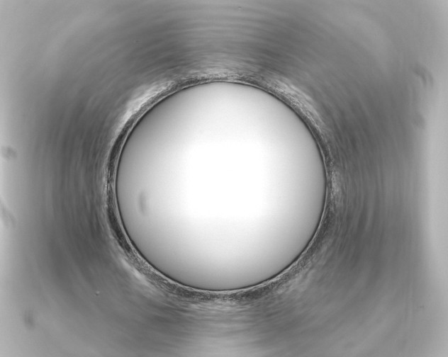 X0000091370578200708101116