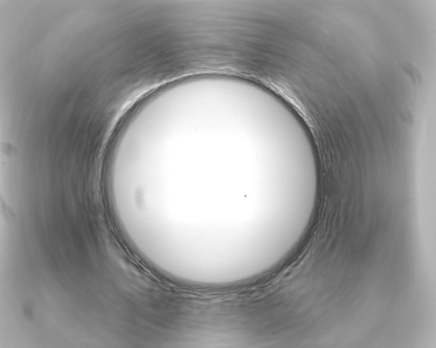 X0000091370579200708101116