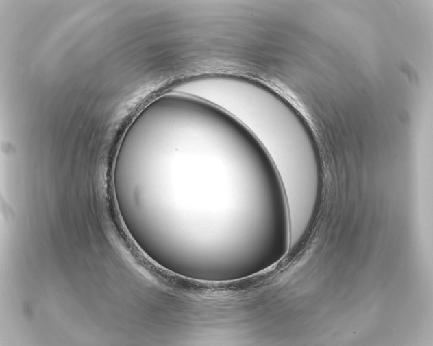 X0000091370581200708101116