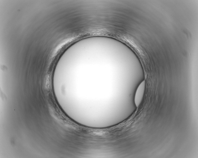 X0000091370583200708101116