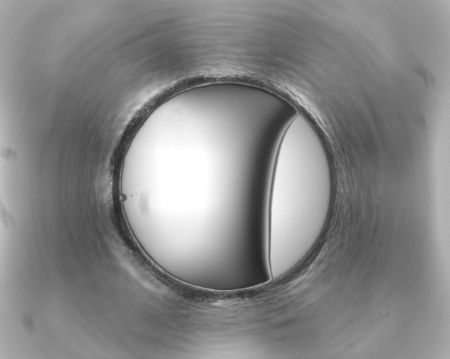 X0000091370584200708101116