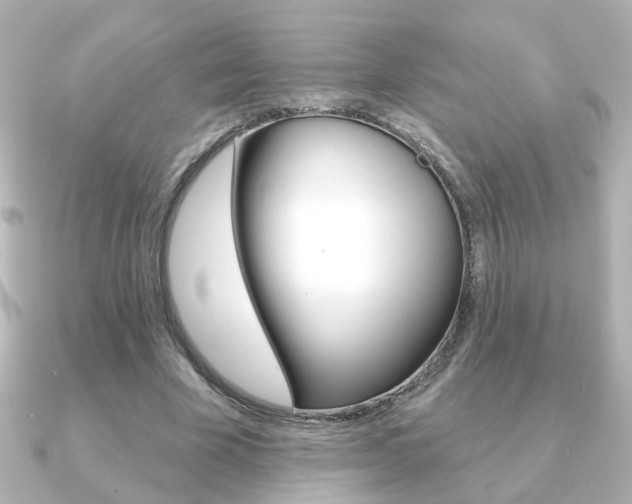 X0000091370585200708101116