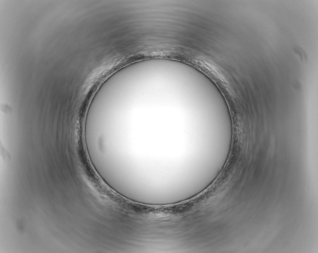 X0000091370586200708101116