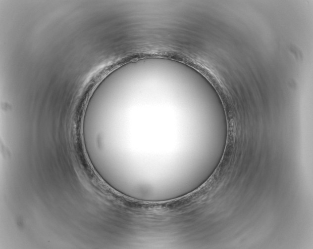 X0000091370587200708101116