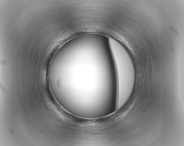 X0000091370589200708101116