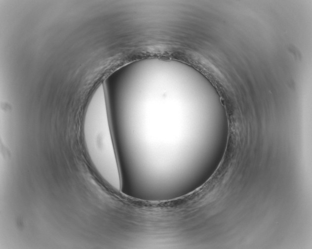 X0000091370593200708101116