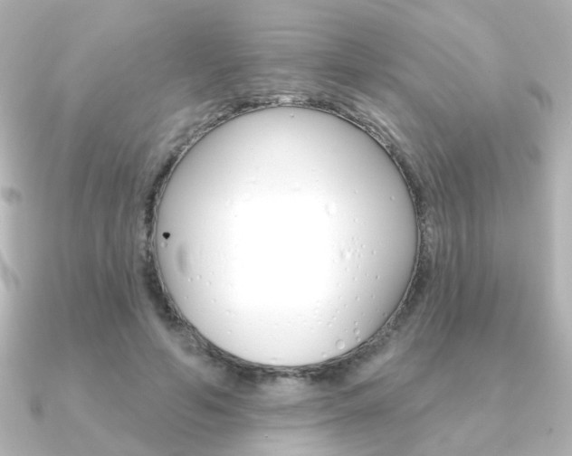 X0000091370594200708101116