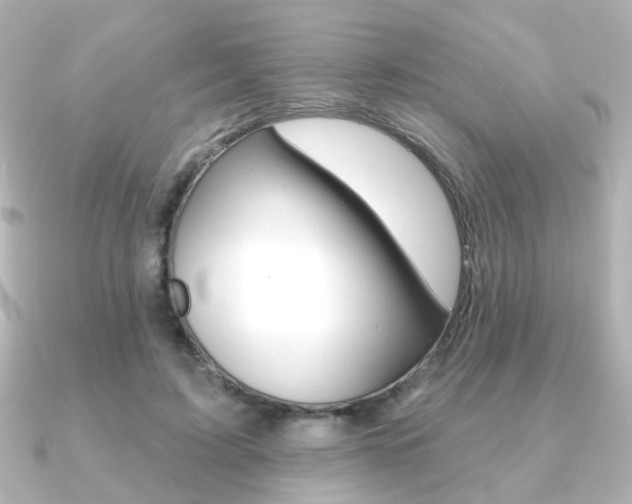 X0000091370595200708101116